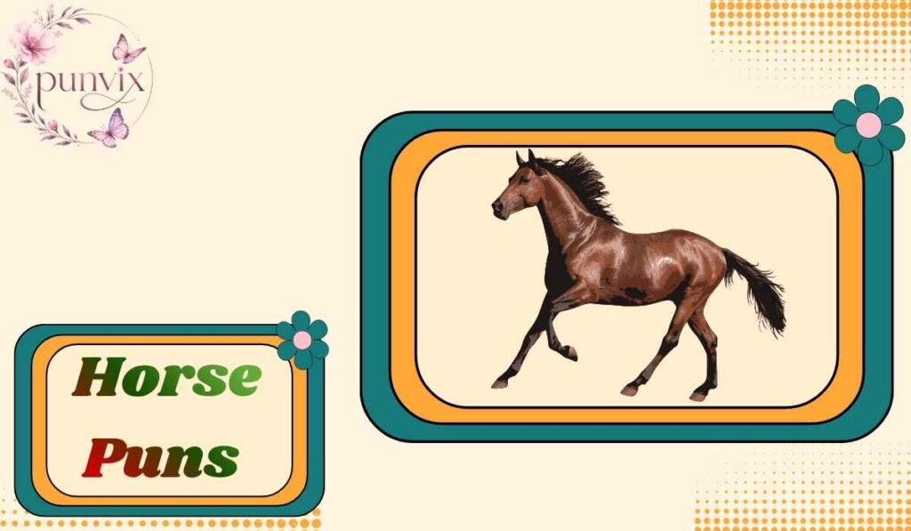 Horse Puns