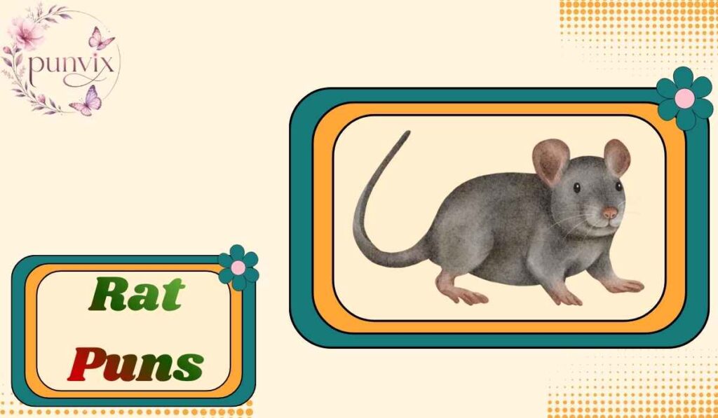 Rat Puns
