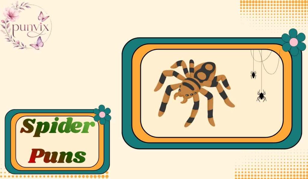 Spider Puns